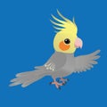 A vector illustration of a cute cockatiel Royalty Free Stock Photo