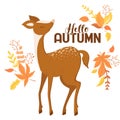 Vector illustration with cute deer character, autumn leaves and lettering isolated on white background. Illustration for