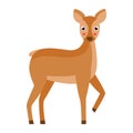 Vector illustration of cute deer isolated on white background. Royalty Free Stock Photo