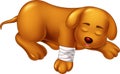 Cute dog cartoon sick and sleeping with smile Royalty Free Stock Photo