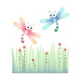 Two cute dragonflies flying over the grass