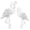 Vector Illustration Flamingos Coloring Page