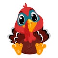 Vector Illustration of Cartoon Turkey in sitting position