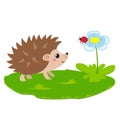 Vector illustration of cute hedgehog and flower with ladybug Royalty Free Stock Photo