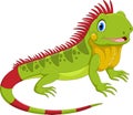 Vector illustration of cute iguana cartoon