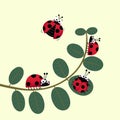 Cute ladybirds or ladybugs walking on the stem of a plant