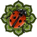 vector illustration of Cute ladybug cartoon design Royalty Free Stock Photo
