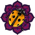 vector illustration of Cute ladybug cartoon design Royalty Free Stock Photo