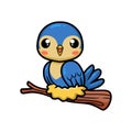 Cute little blue bird cartoon on tree branch Royalty Free Stock Photo