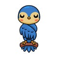 Cute little blue bird cartoon on tree Royalty Free Stock Photo