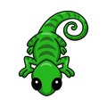 Cute little chameleon cartoon character