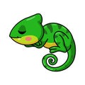 Cute little chameleon cartoon sleeping