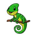 Cute little chameleon cartoon on tree branch