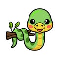 Cute little green snake cartoon on tree branch Royalty Free Stock Photo