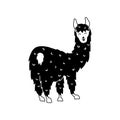 Vector illustration of cute llama Royalty Free Stock Photo