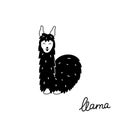 Vector illustration of cute llama Royalty Free Stock Photo