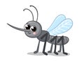 Vector illustration with a cute mosquito. Gray insect in cartoon style Royalty Free Stock Photo