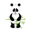 Vector illustration. Cute Panda standing and holding in the paws Royalty Free Stock Photo