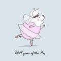 Vector illustration of cute pig ballerina dancing, symbol of the new 2019,cartoon design Royalty Free Stock Photo