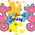 Vector illustration with cute pink sea horses and paint splashes. Royalty Free Stock Photo