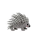 Vector illustration of cute porcupine isolated on white background.