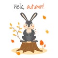 Vector illustration with a cute rabbit on a stump and autumn leaves in cartoon style. Royalty Free Stock Photo