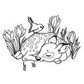 Vector illustration with cute sleeping deer with a blue bird and with flowers. Isolated on white background. Royalty Free Stock Photo