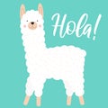 Vector illustration of a cute white llama or alpaca on a blue background with the inscription Hola. Image on South American theme