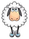 Cute white sheep Royalty Free Stock Photo