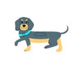 Vector illustration of dachhund dog Royalty Free Stock Photo