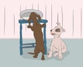 Vector illustration of a dachshund that steals food from the table