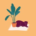 Vector illustration dark cat lying on the carpet near a flower pot. Royalty Free Stock Photo