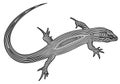 Vector illustration of decorated, stylized, outline lizard, isolated, on white background.