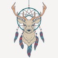 Vector illustration with deer and dream catcher