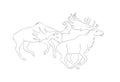 Vector illustration of a deer fighting, drawing by lines