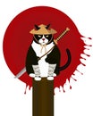 Japanese Cat Ninja with Blood Sun Royalty Free Stock Photo