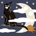 Wizard Cat Flying With Broomstick Royalty Free Stock Photo