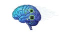 Artificial Intelligence Brain with Circuitry and Microchips Royalty Free Stock Photo