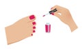 Vector illustration of pedicure