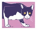 Vector illustration, design of sneaking house cat in color