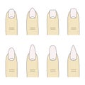 Vector illustration, different forms, shapes of nails. Manicure.