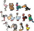 Vector illustration of different kind of birds. Set of cartoon birds. Royalty Free Stock Photo