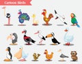 Vector illustration of different kind of birds. Set of cartoon birds. Royalty Free Stock Photo