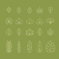 Different types of leaf outline icon set. Foliage thin simple outline