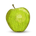 Vector illustration digital painting of apple