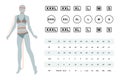 Vector illustration of the dimensions of a female body