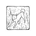 Vector illustration with Dingo walking in the prairie. Hand-drawn sketch in a frame with Australian animal