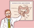 Vector illustration of a Doctor explaining the large intestine