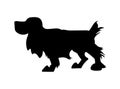 Vector illustration of a dog standing, drawing silhouette, vector