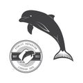 Vector illustration of a dolphin in the old-fashioned style and line-art style.